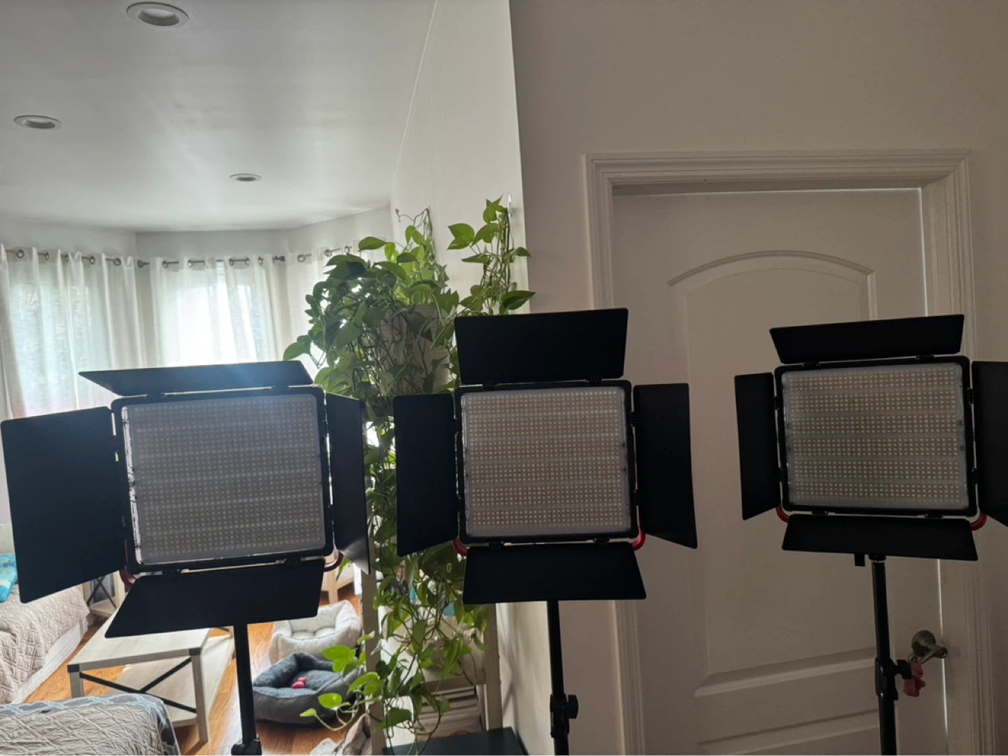 GVM GVM-1200D LED Video Lights (3-Pack) - photo 4