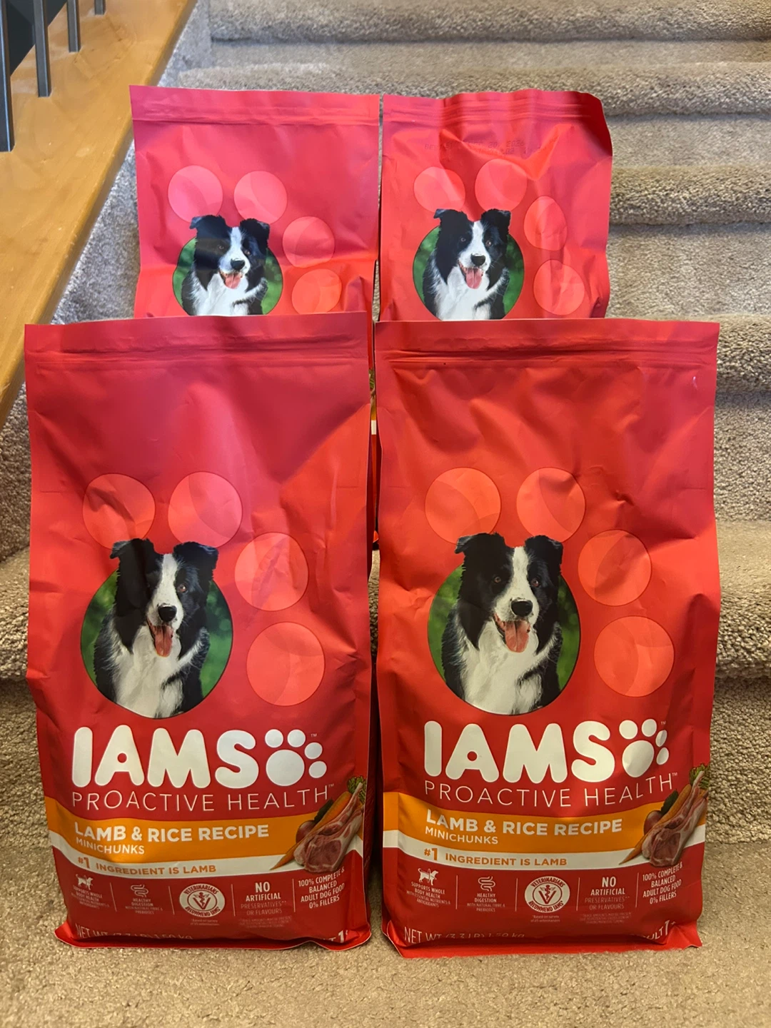 IAMS Dog Food - photo 2