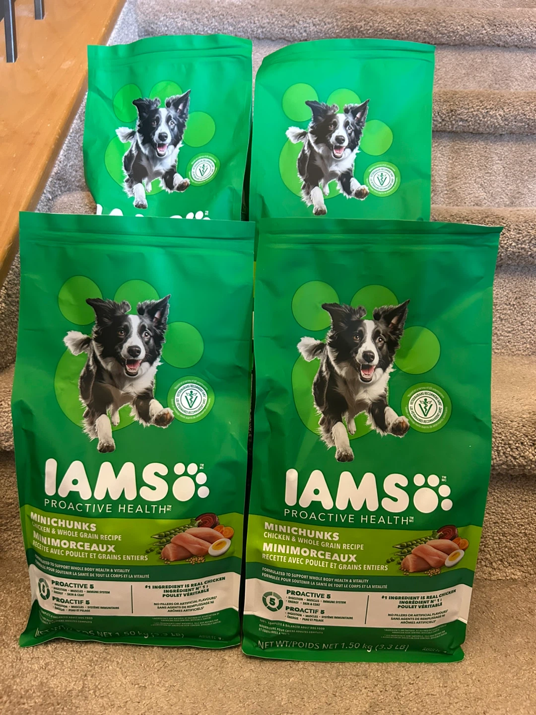 IAMS Dog Food