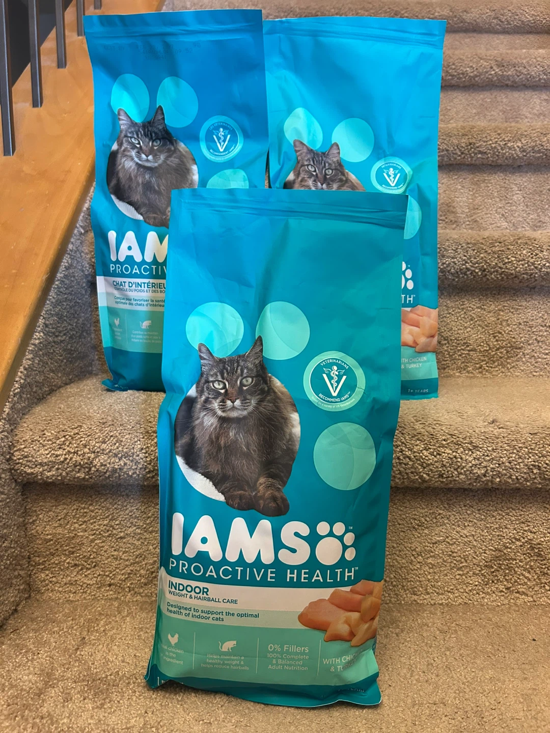 Iams Cat Food - 4 for $35