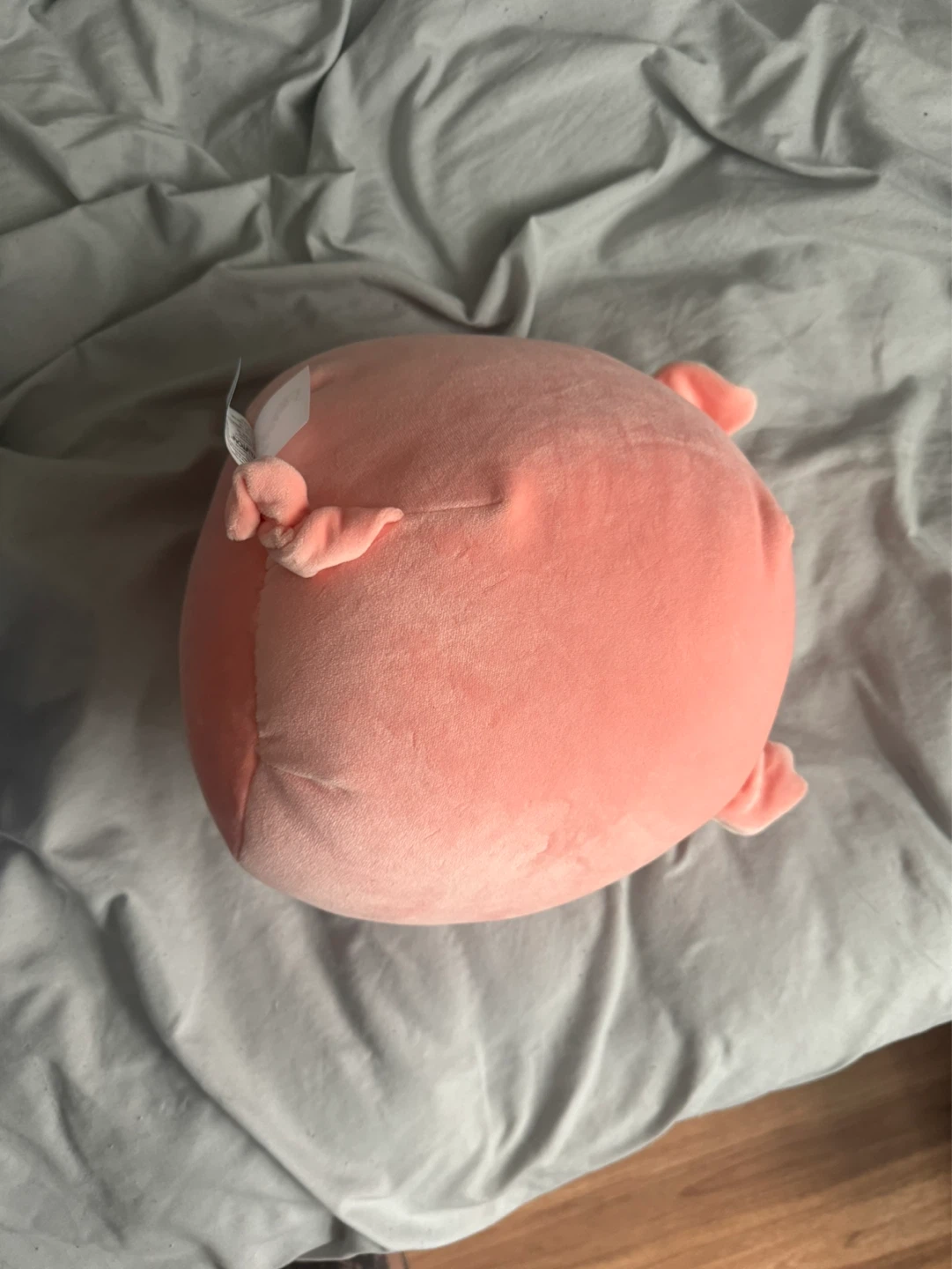 Squishmallows Pink Pig Plush Toy - photo 2