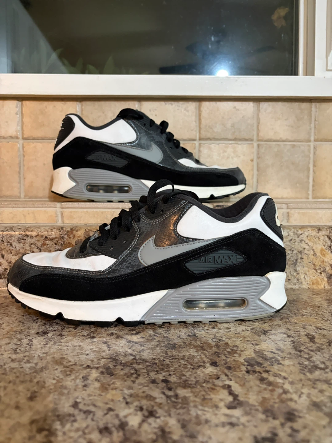 Nike Air Max 90 Men's Shoes