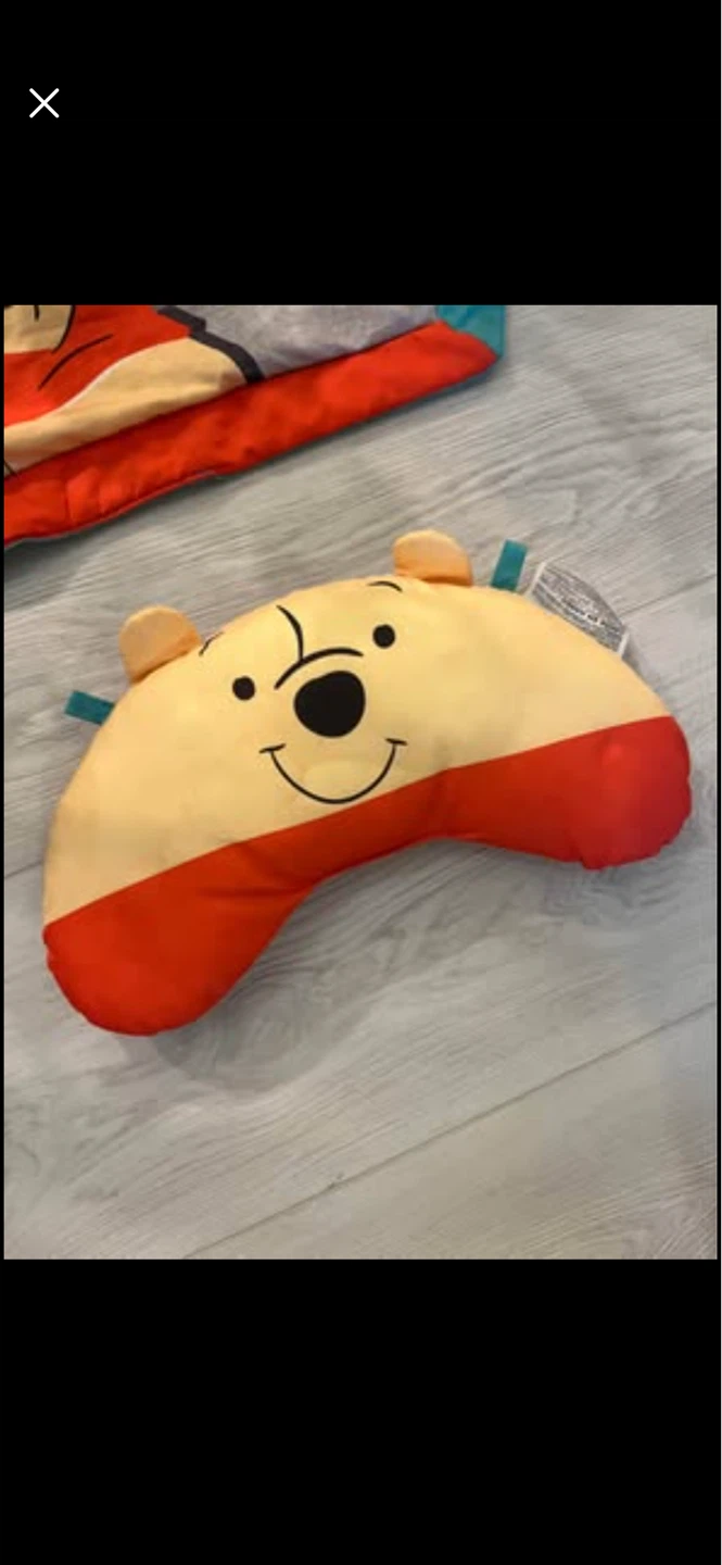 Disney Winnie the Pooh Play Gym - photo 2