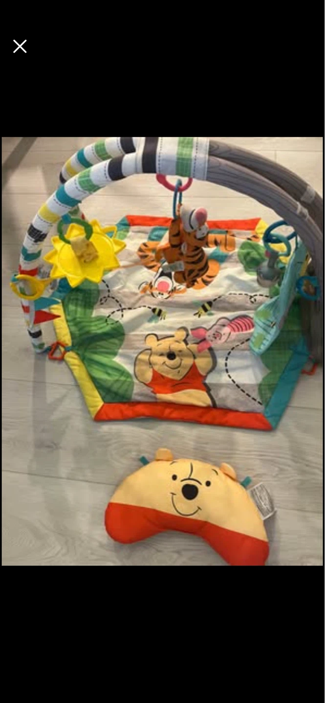 Disney Winnie the Pooh Play Gym - photo 4