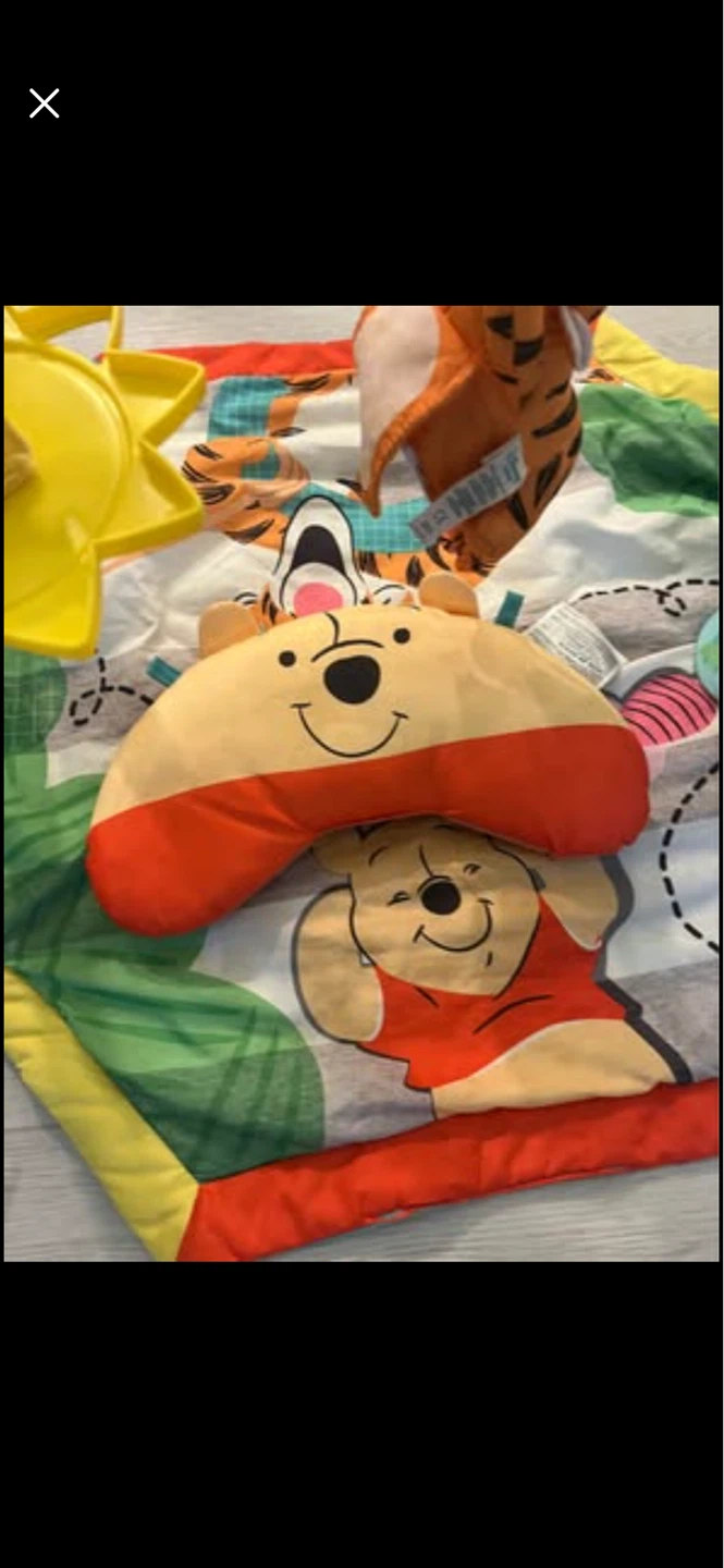 Disney Winnie the Pooh Play Gym - photo 3