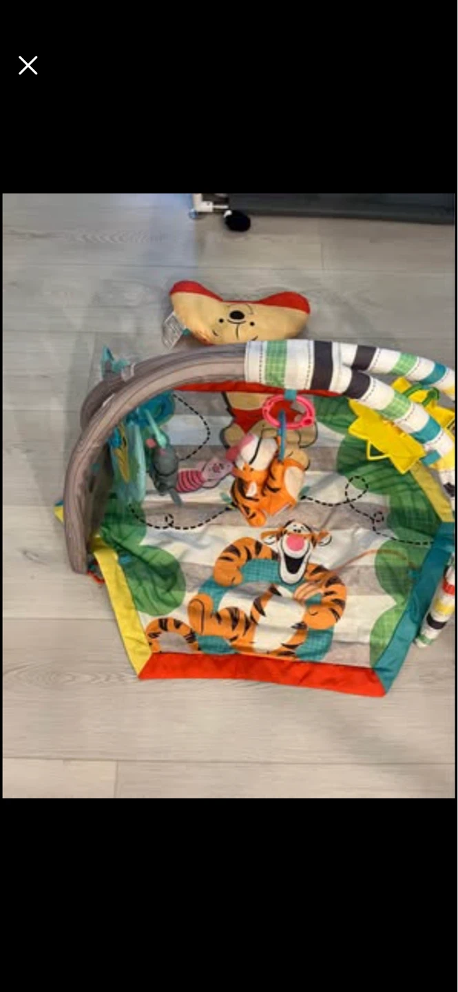 Disney Winnie the Pooh Play Gym