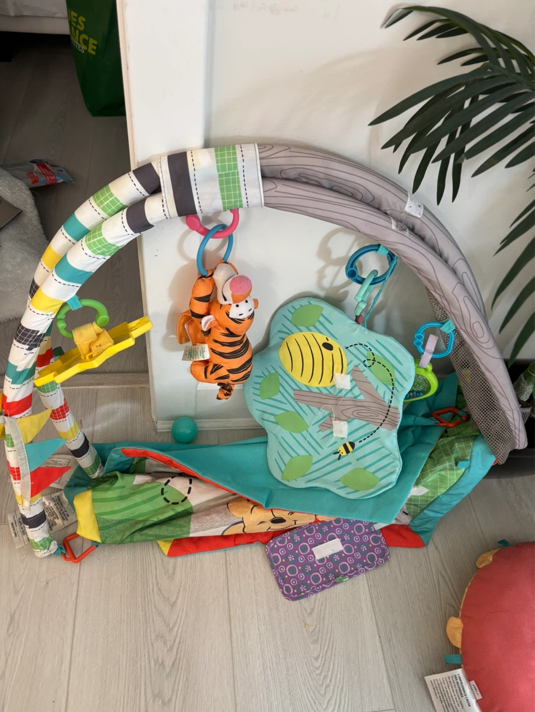 Disney Winnie the Pooh Play Gym - photo 5