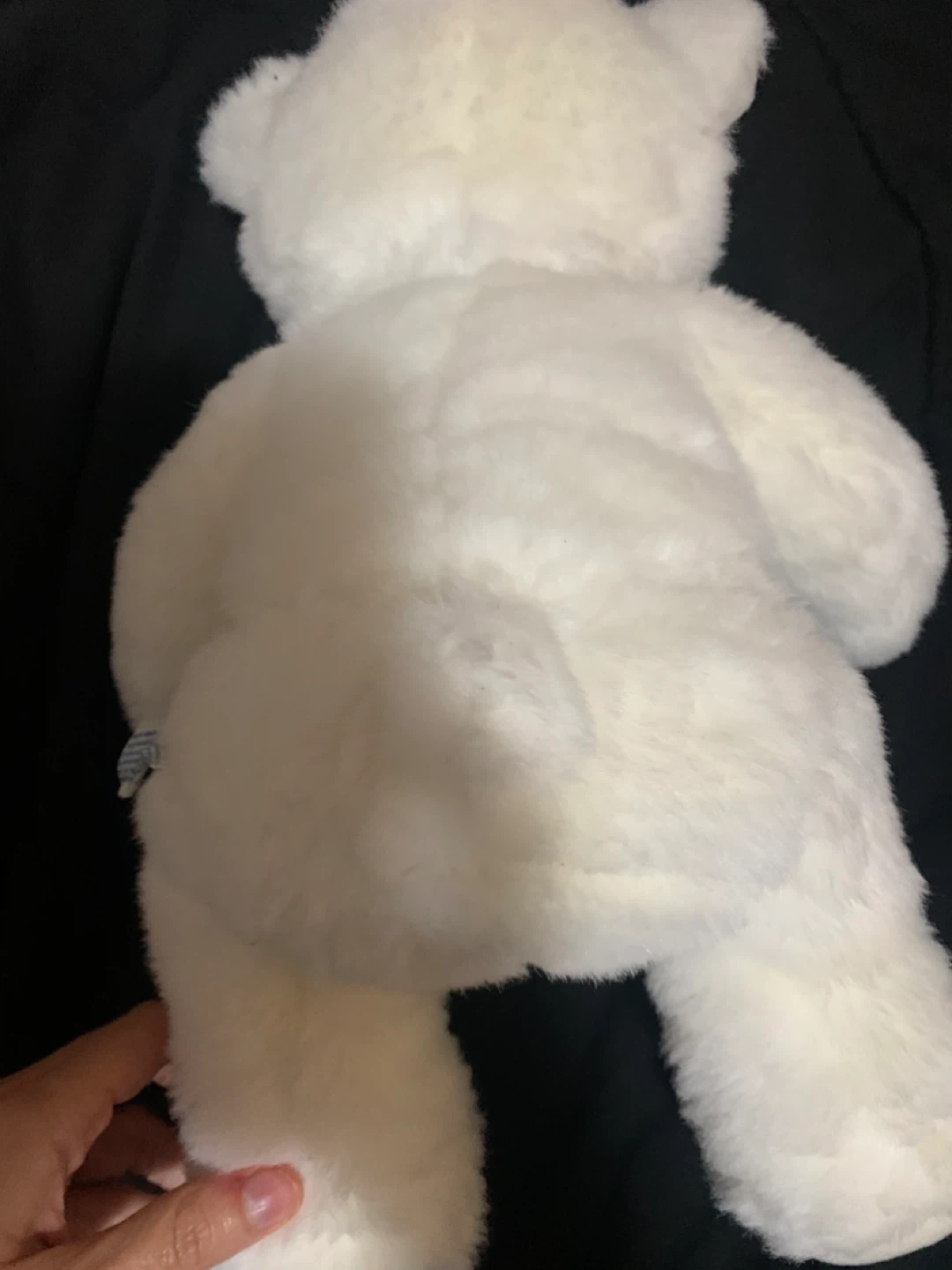 $5 build a bear - photo 2