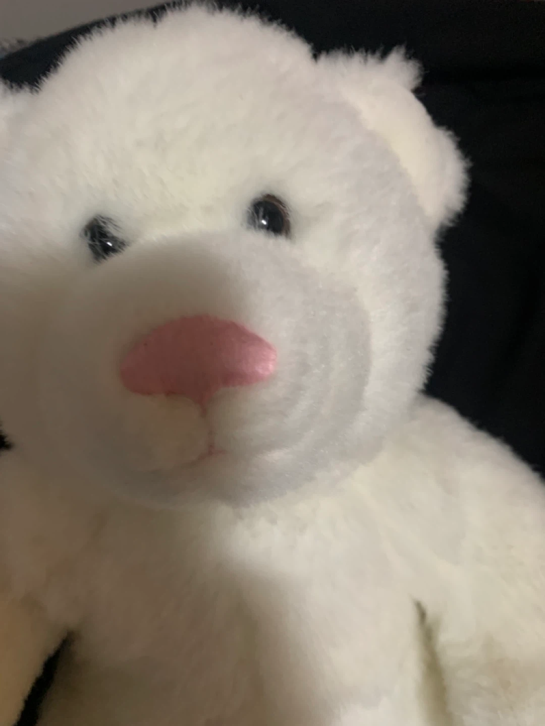 $5 build a bear