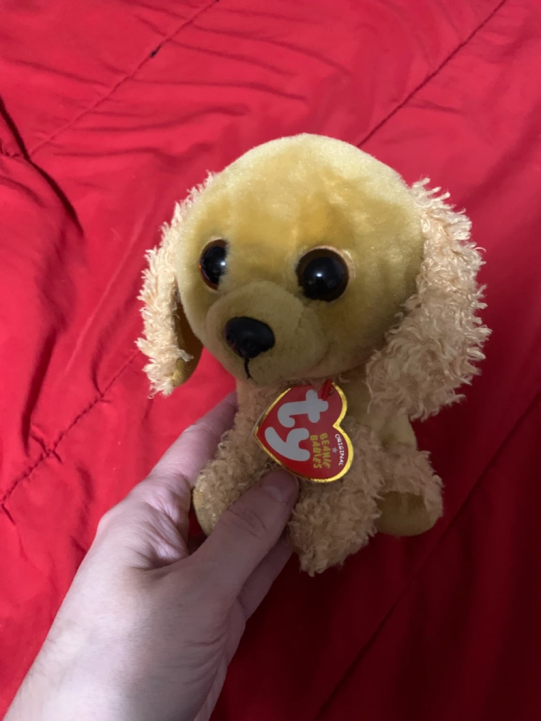 $5 beanie boo 6”