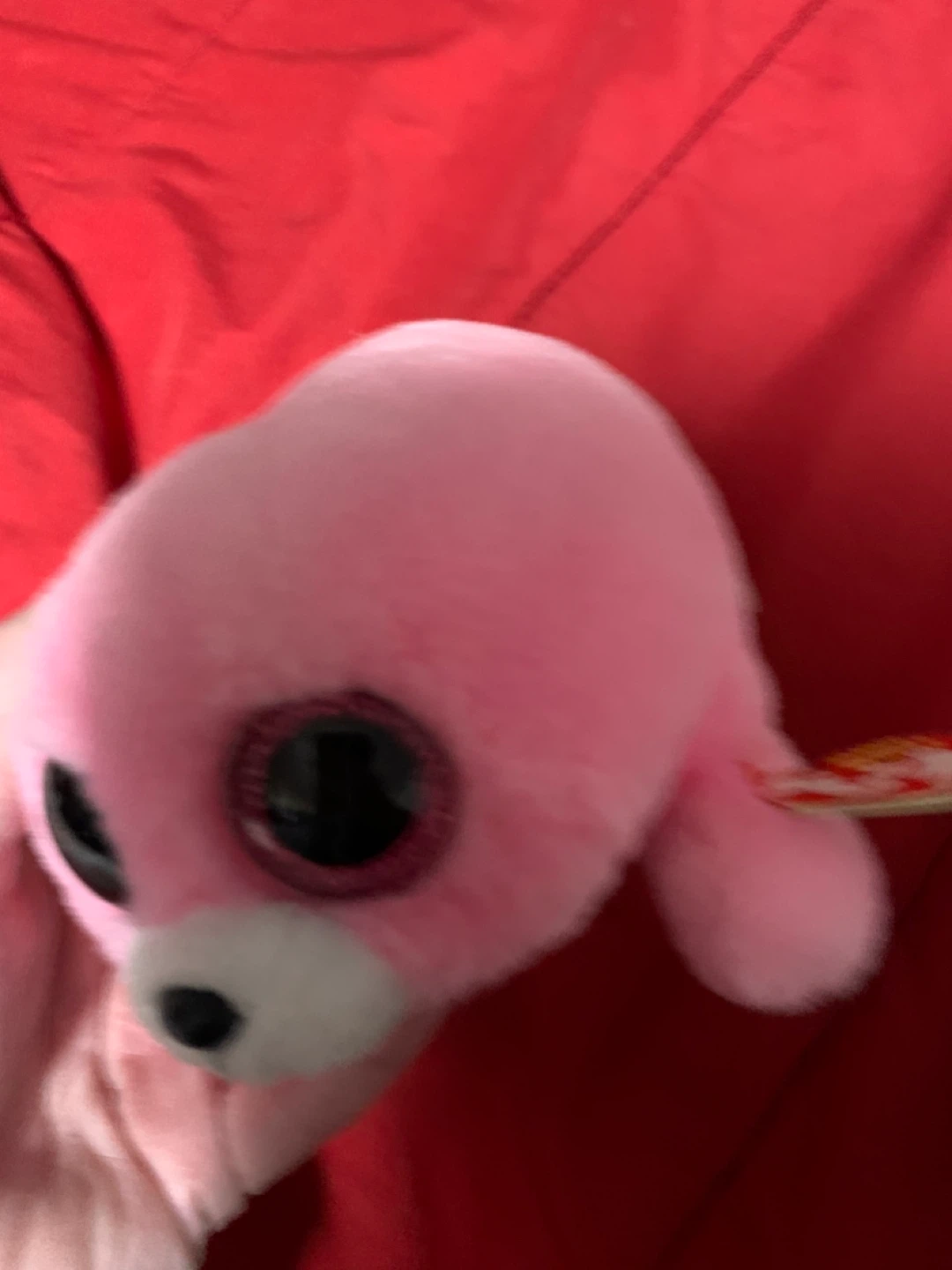 $5 beanie boo 6”