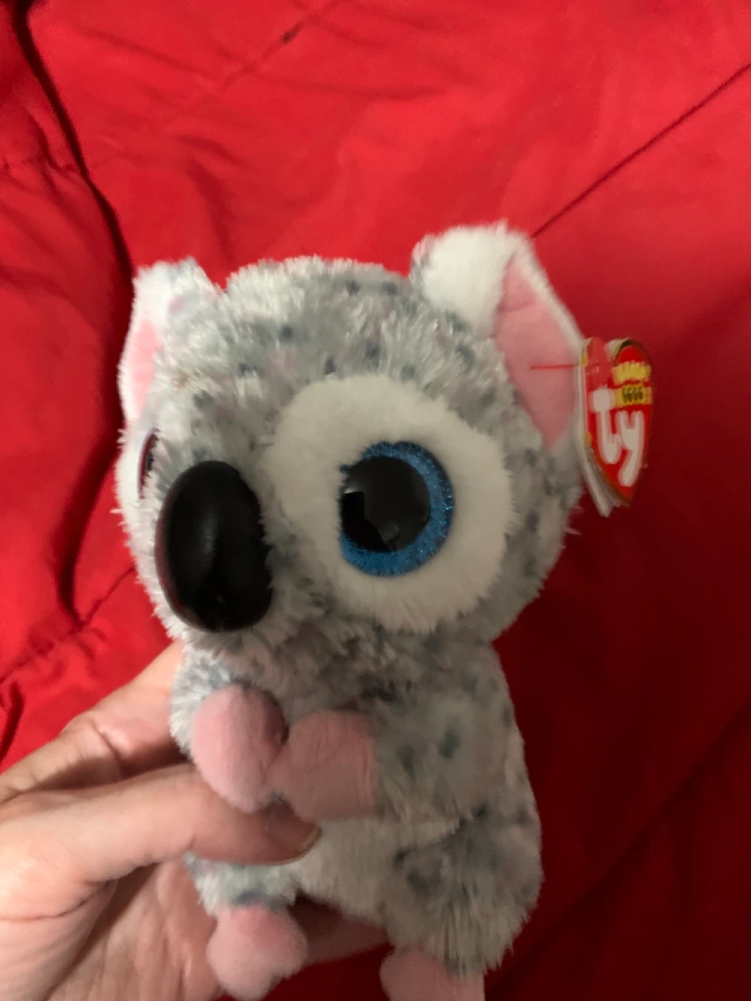 $5 beanie boo 6”