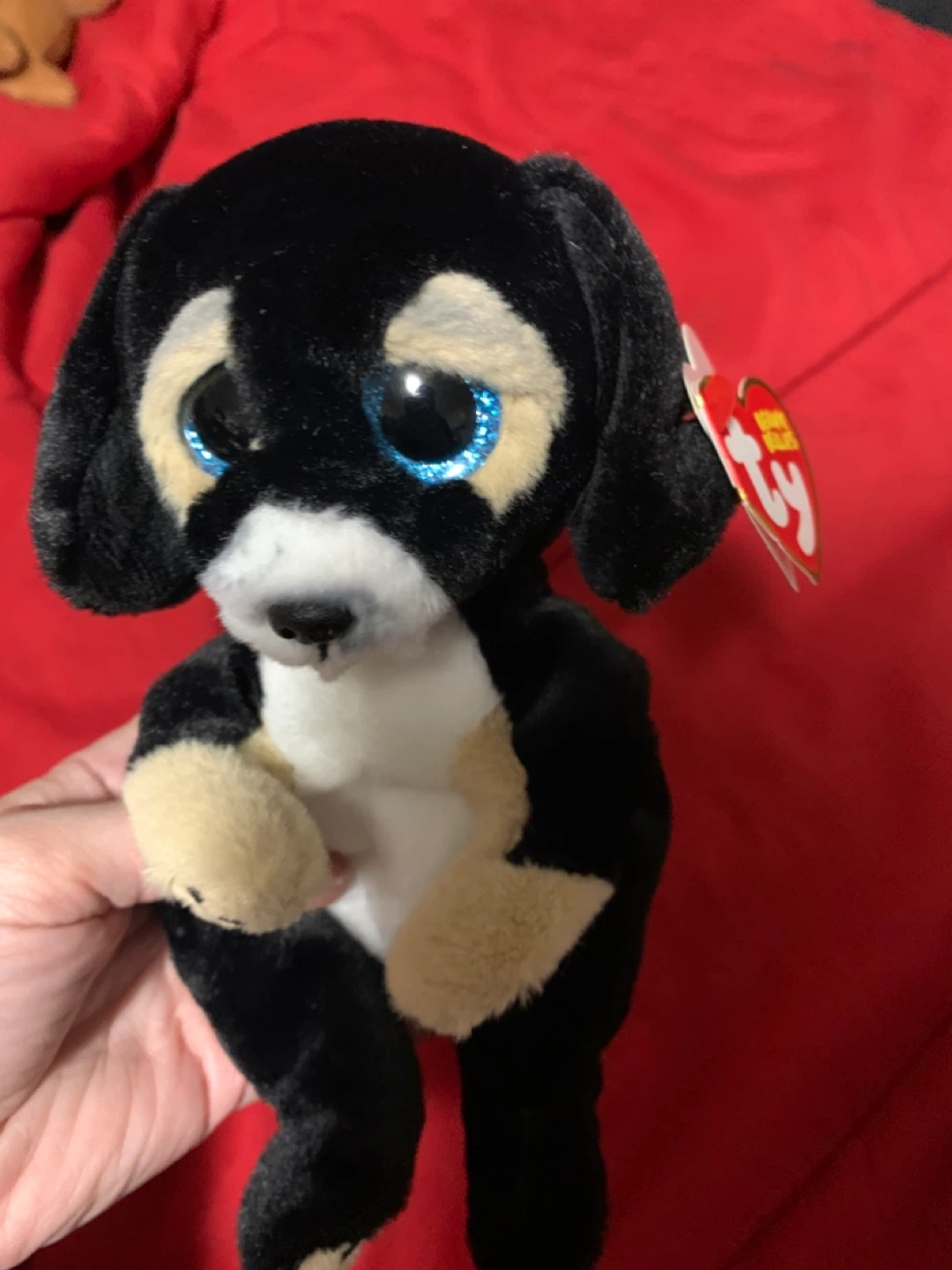 $5 beanie boo 6”