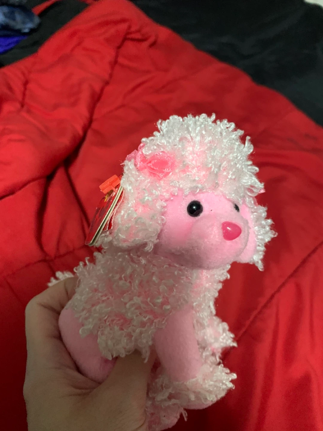 $5 beanie babies