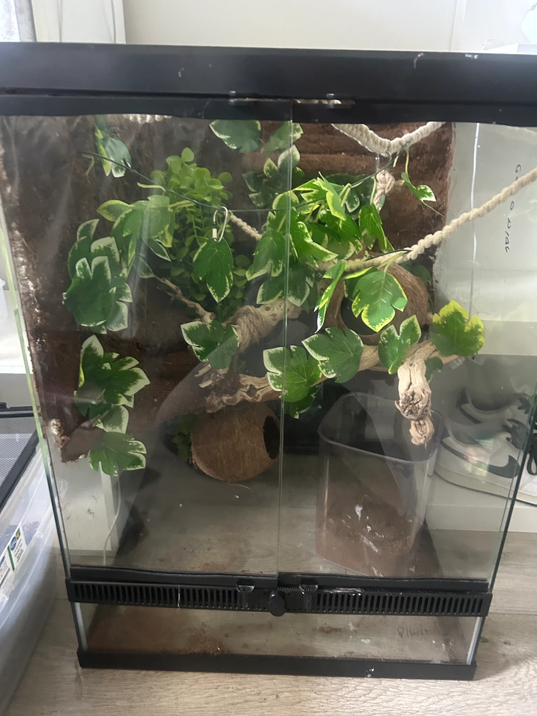 Terrarium with climbing vine and coconut hide - photo 2