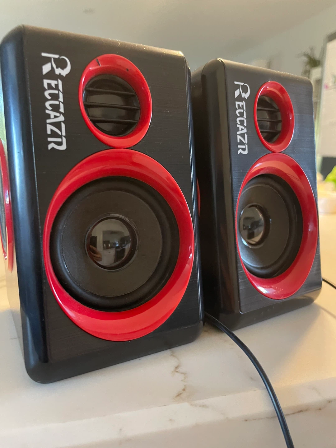 RECCAZR 2.0 Computer Speakers
