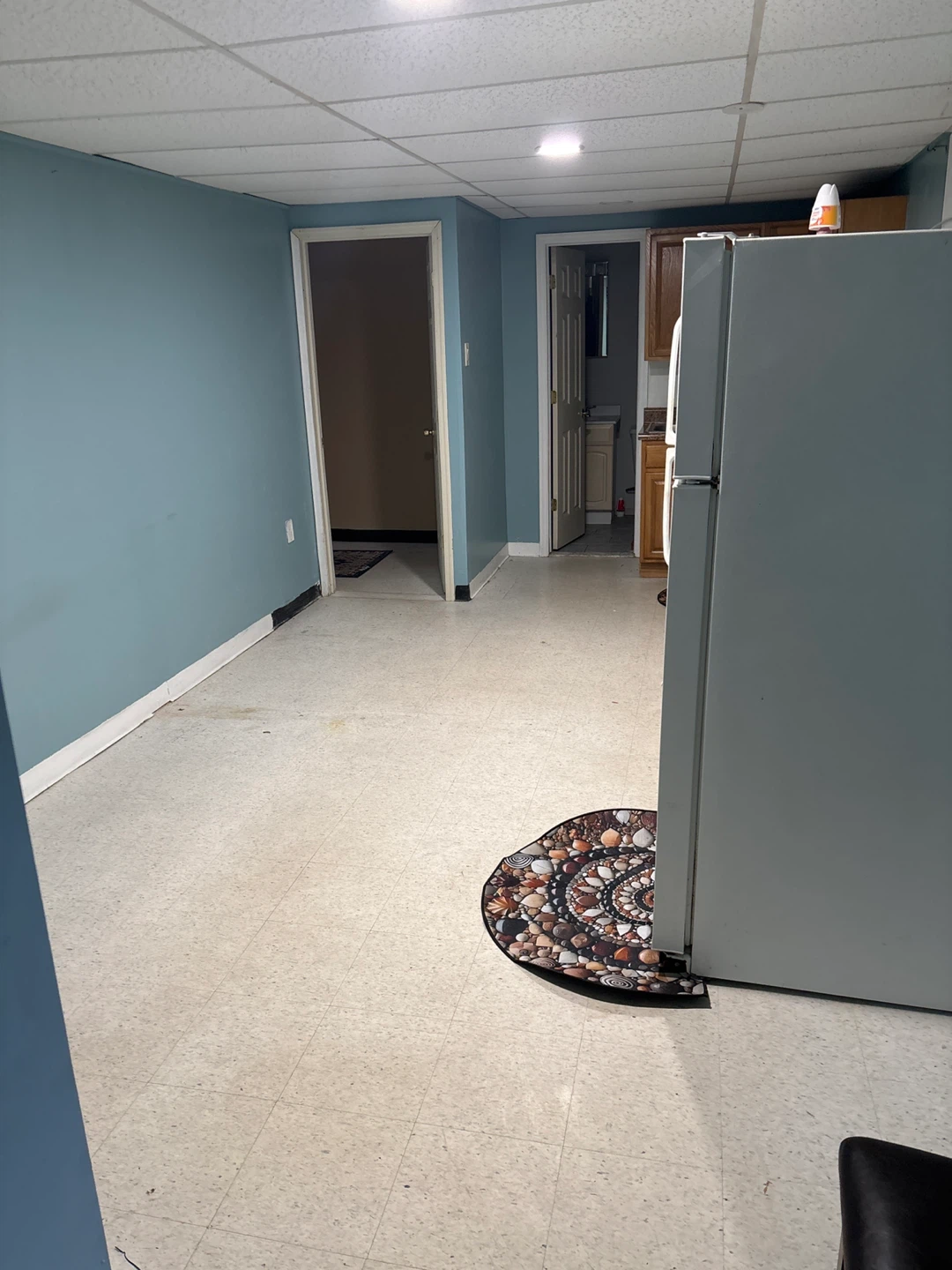 Basement Apartment with Kitchen and Bathroom - photo 4