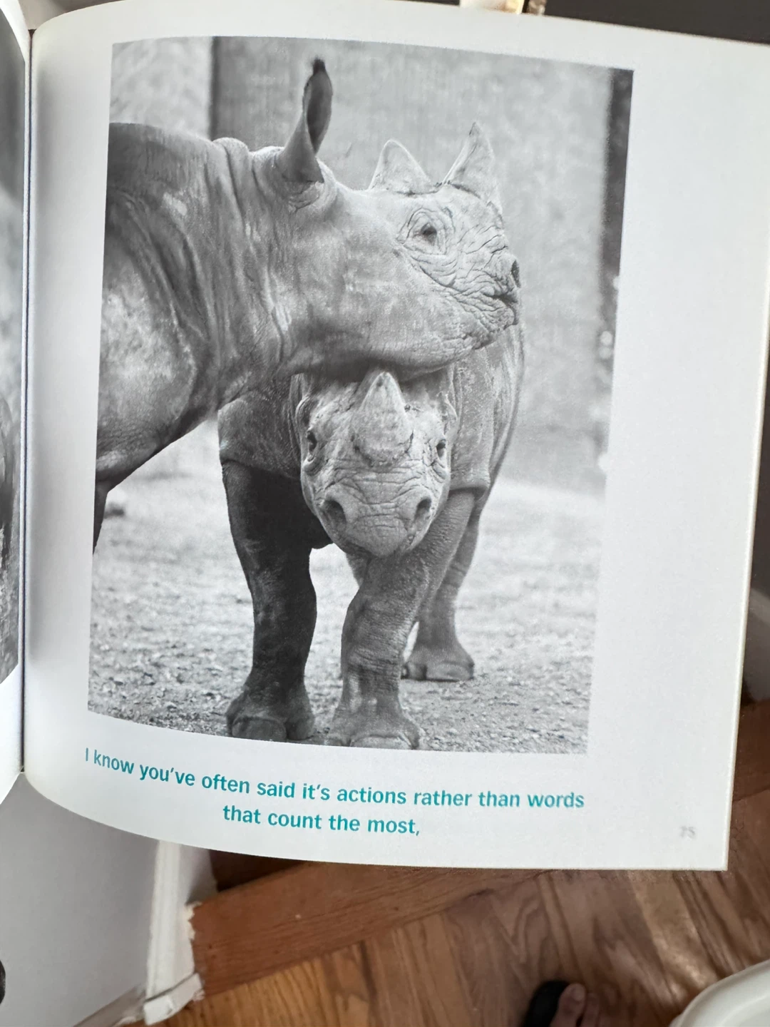 Dear Dad Father, Friend, and Hero Book by Bradley Trevor Greive - photo 3