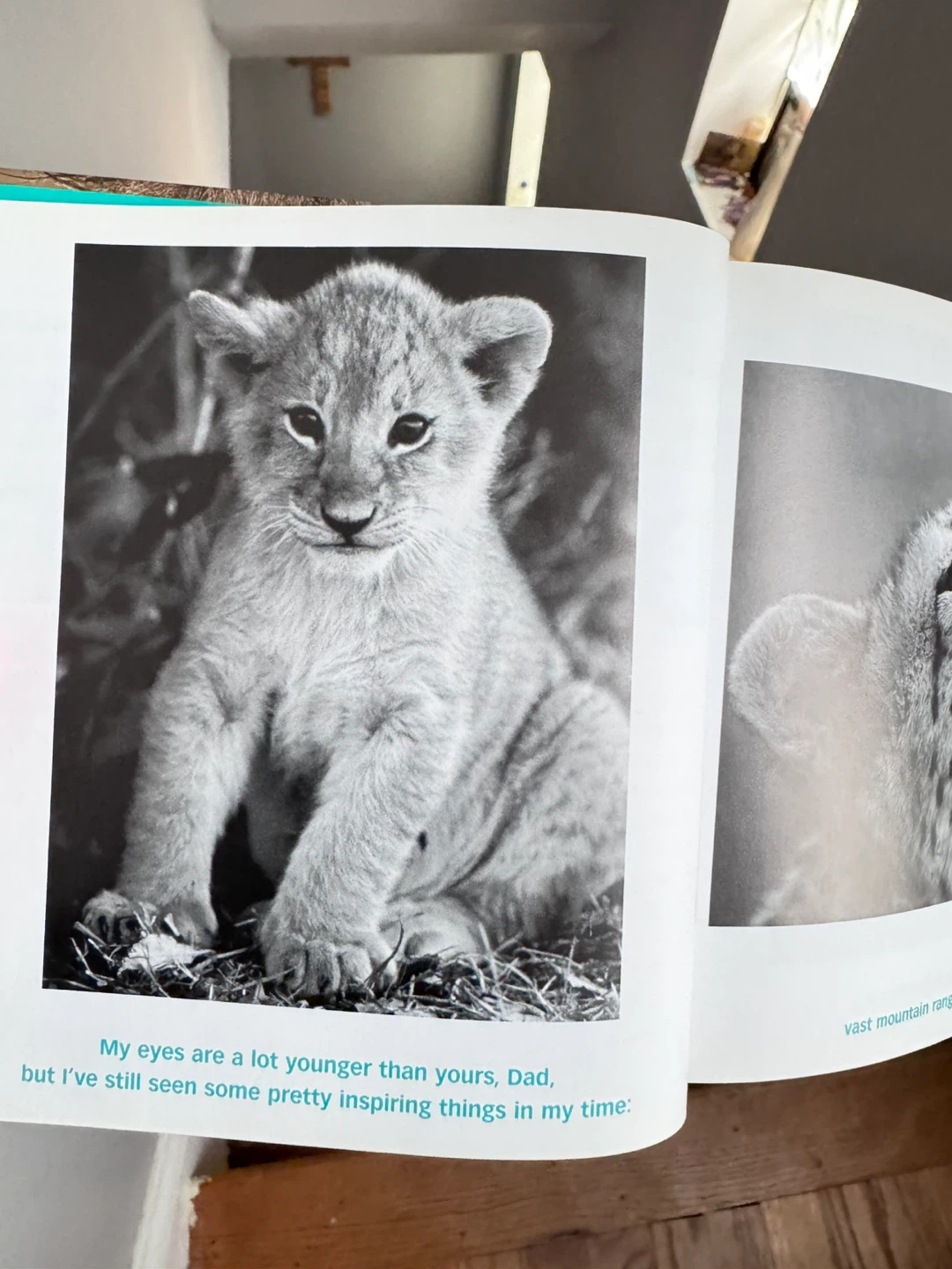 Dear Dad Father, Friend, and Hero Book by Bradley Trevor Greive - photo 4