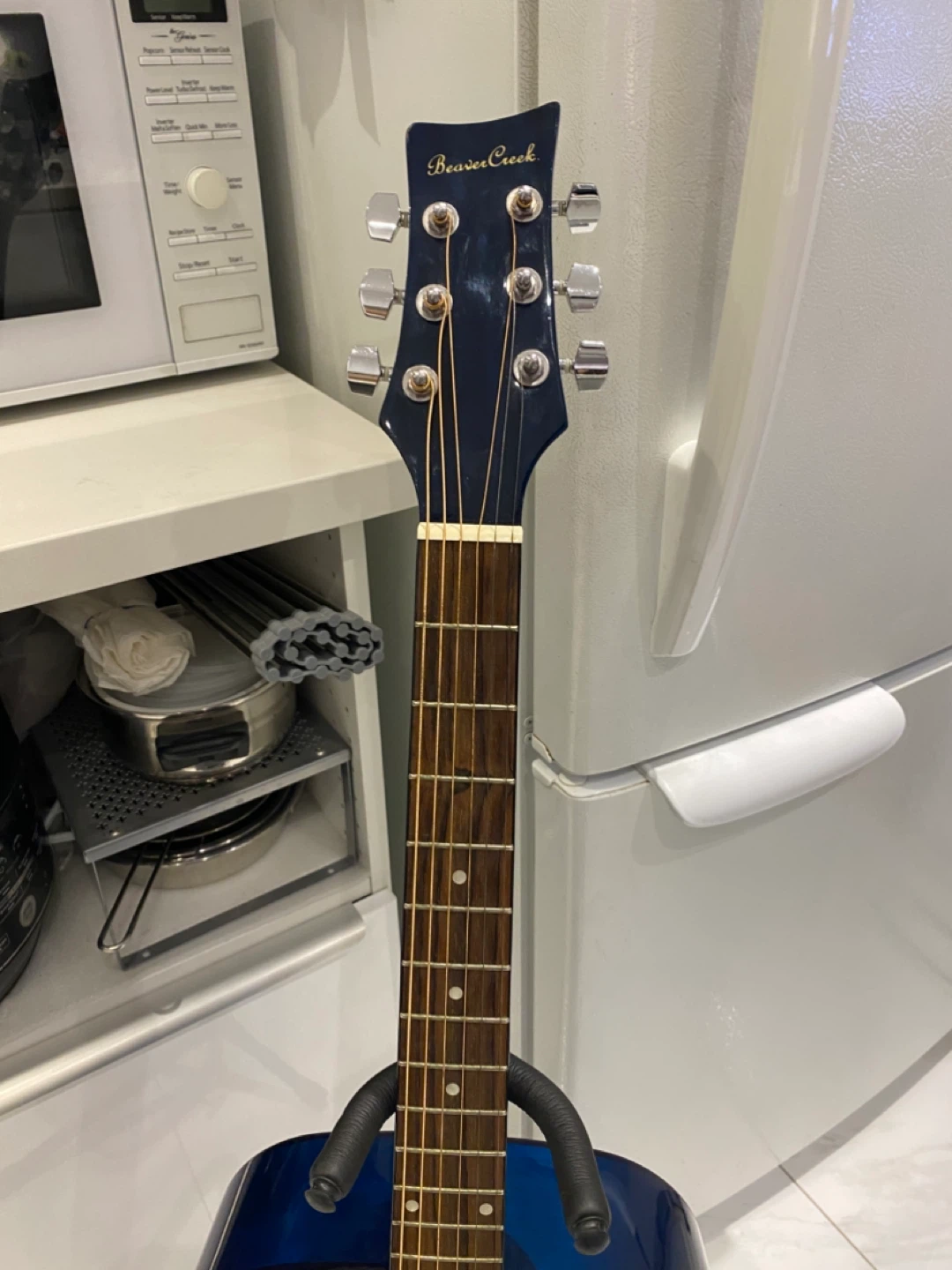 Beaver Creek Blue Acoustic Guitar