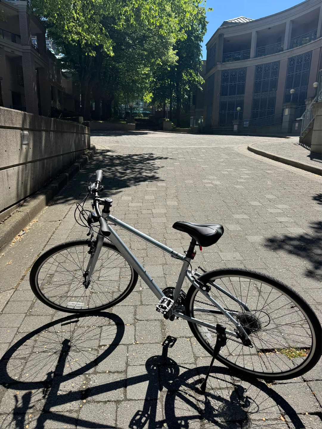 Diamond "Lachine" Grey Bicycle