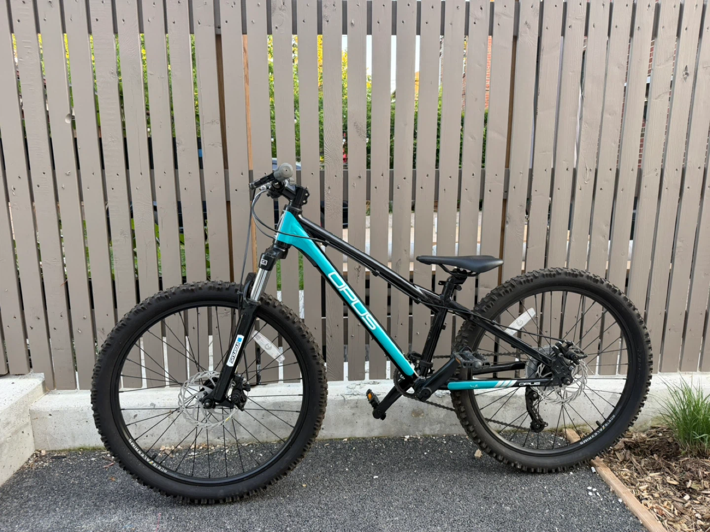 Opus Reccon 24 inch Mountain Bike - $400 OBO