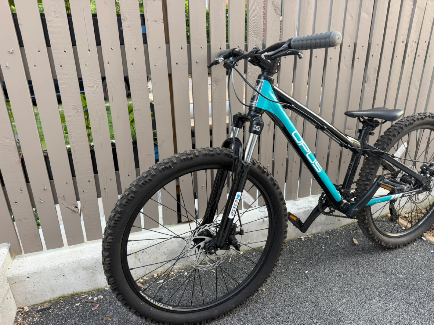 Opus Reccon 24 inch Mountain Bike - $400 OBO - photo 3