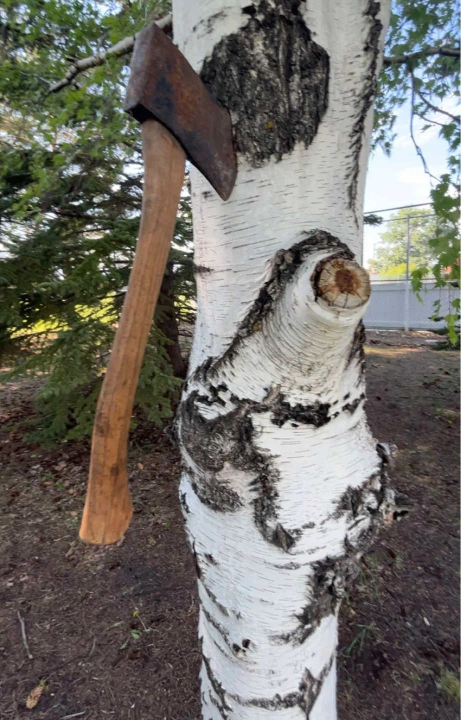 Vintage Axe with Wooden Handle