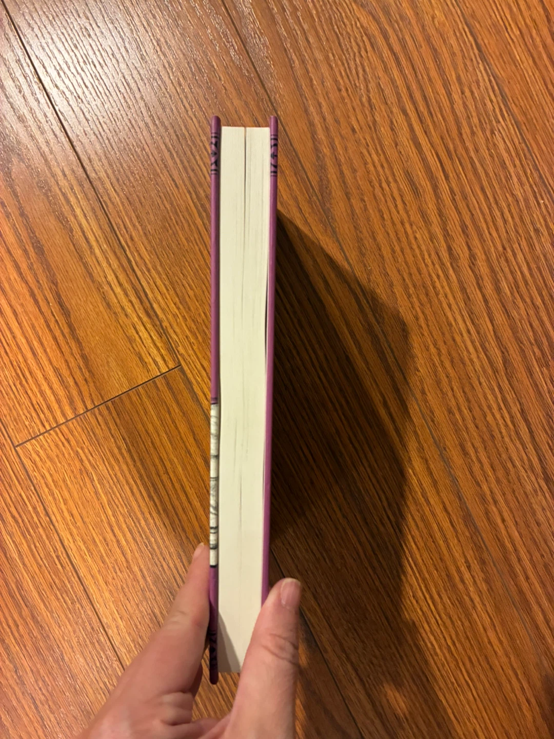 The Unselected Journals of Emma M. Lion Vol. 5 by Beth Brower - photo 2