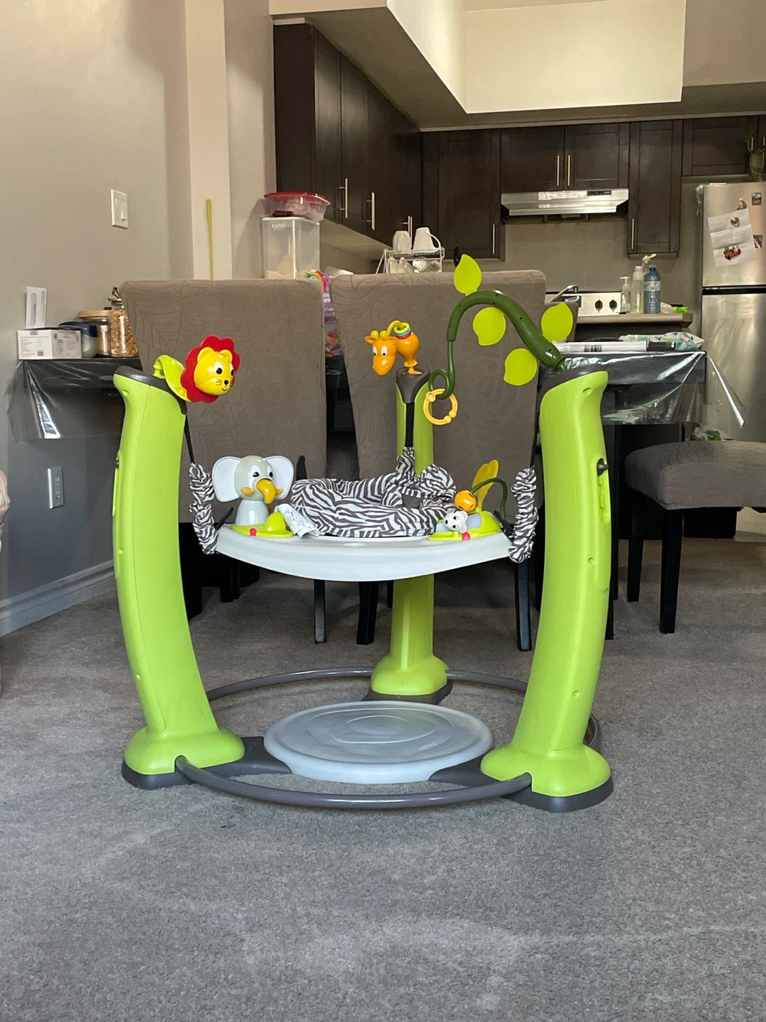 Baby Einstein Jumperoo