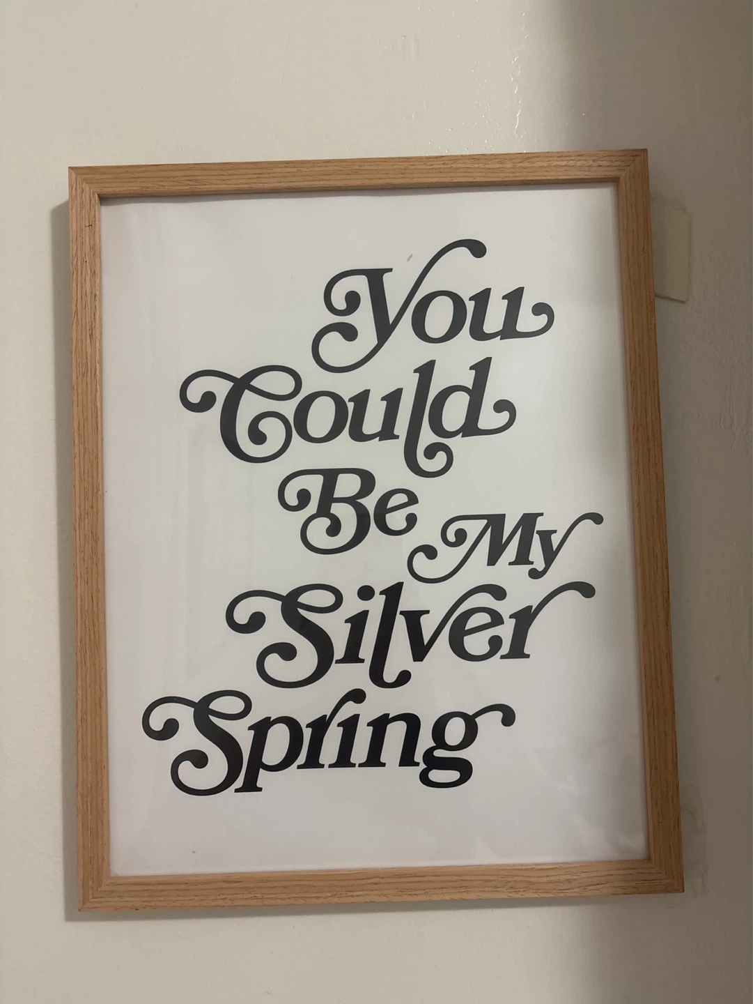 Framed Wall Art "You Could Be My Silver Spring"