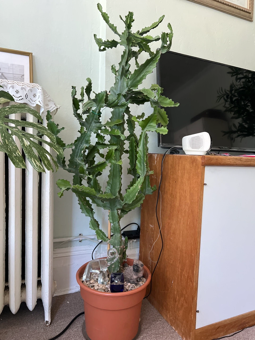 Large Cactus Plant with Decorative Figurines - photo 4