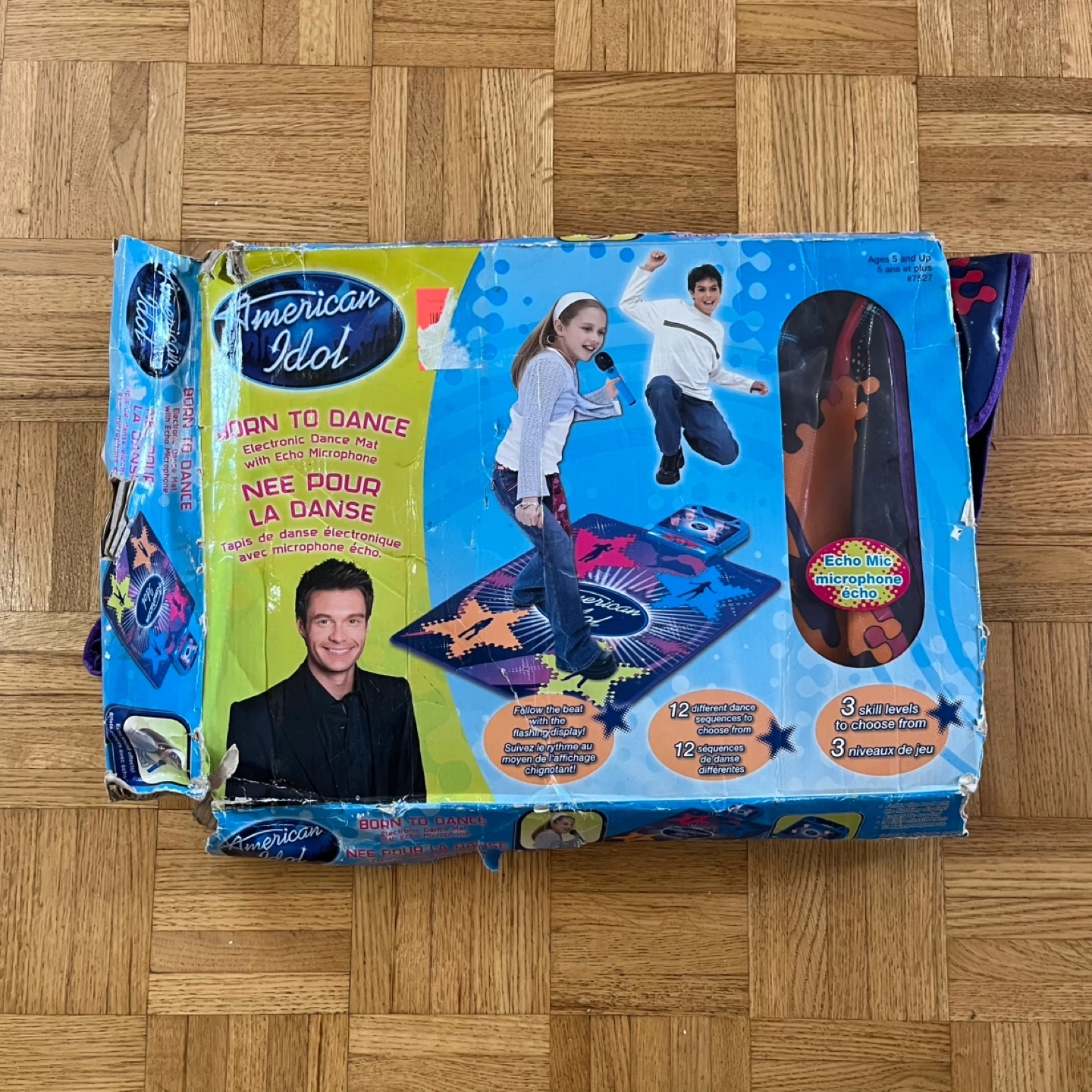 American Idol Electronic Dance Mat with Echo Microphone