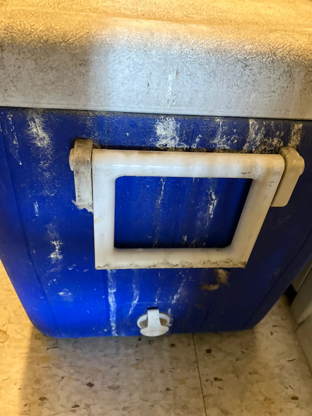Coleman Cooler - photo 2
