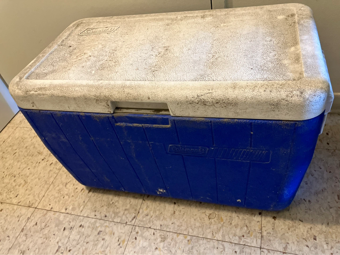 Coleman Cooler