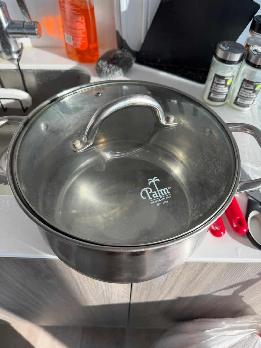 Palm Restaurant Stock Pot with Lid