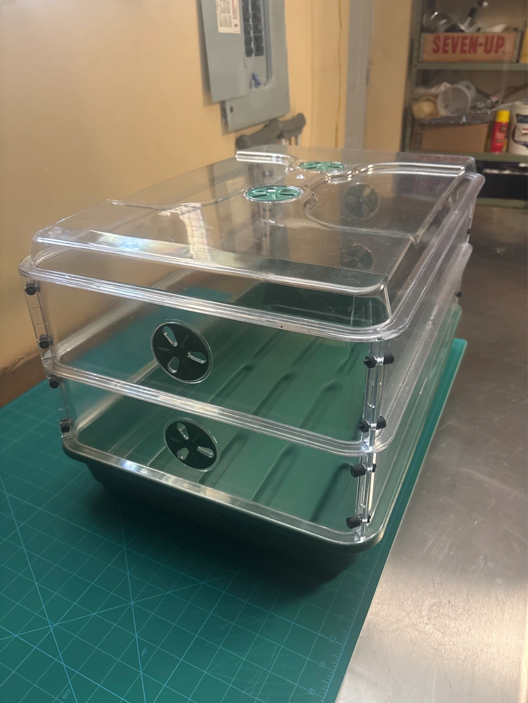 Stackable Seedling Greenhouse Trays with Lids - photo 2