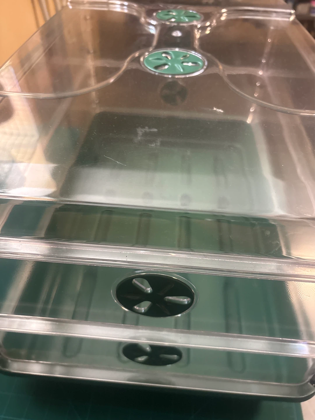 Stackable Seedling Greenhouse Trays with Lids - photo 3