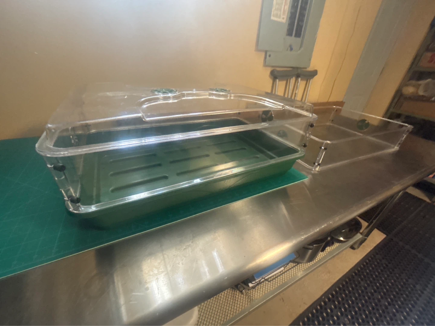 Stackable Seedling Greenhouse Trays with Lids - photo 4
