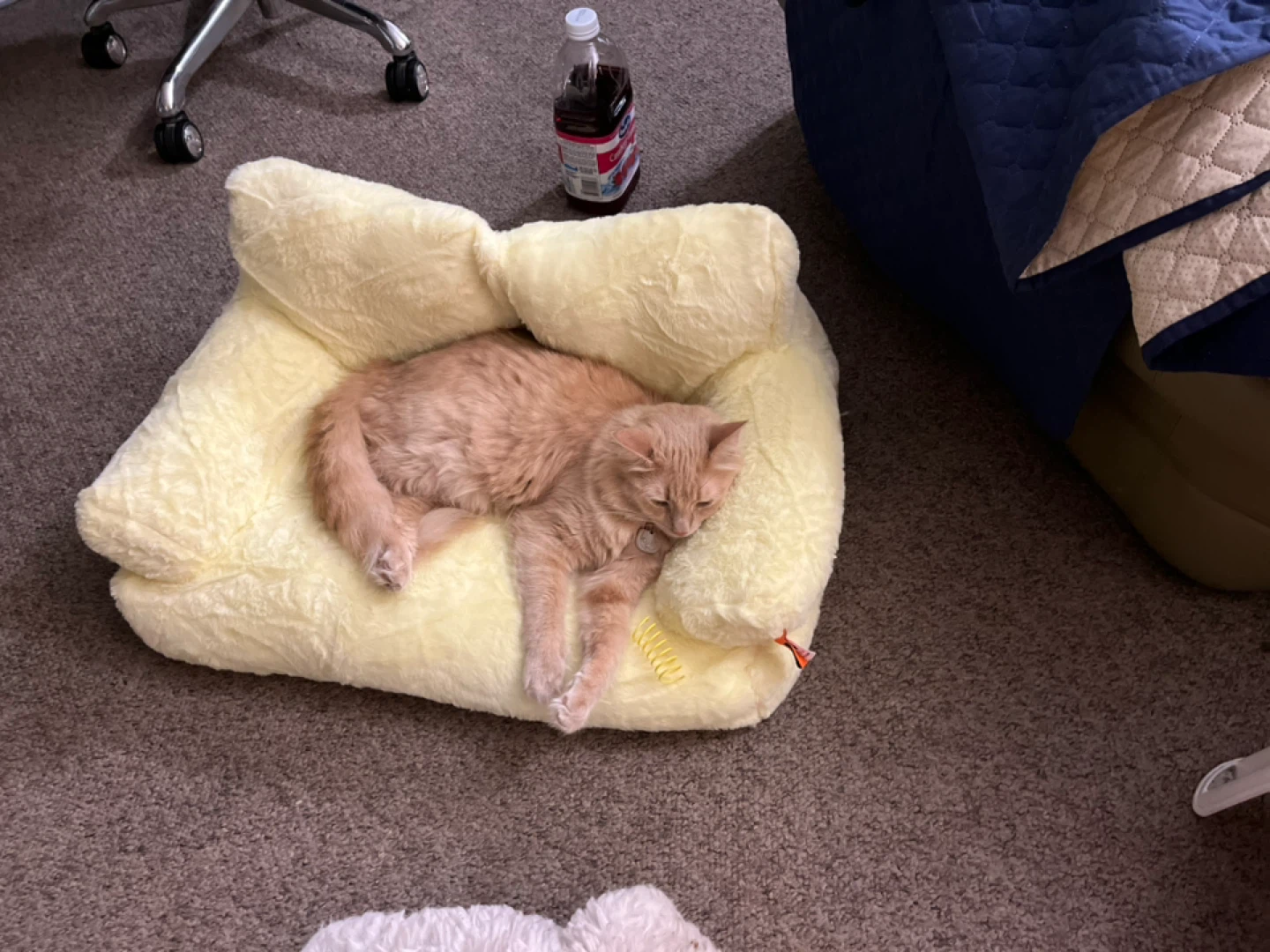 Yellow Plush Pet Bed - photo 2