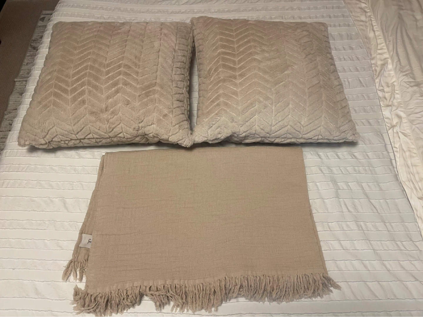 Pair of Beige Cushions & Throw Blanket - photo 2