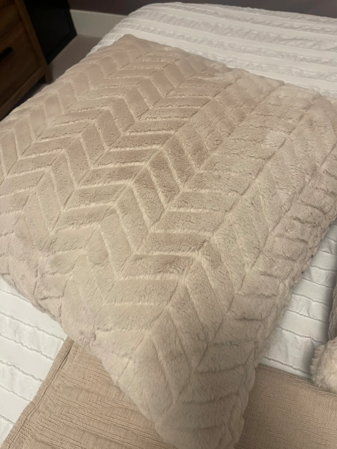 Pair of Beige Cushions & Throw Blanket - photo 4