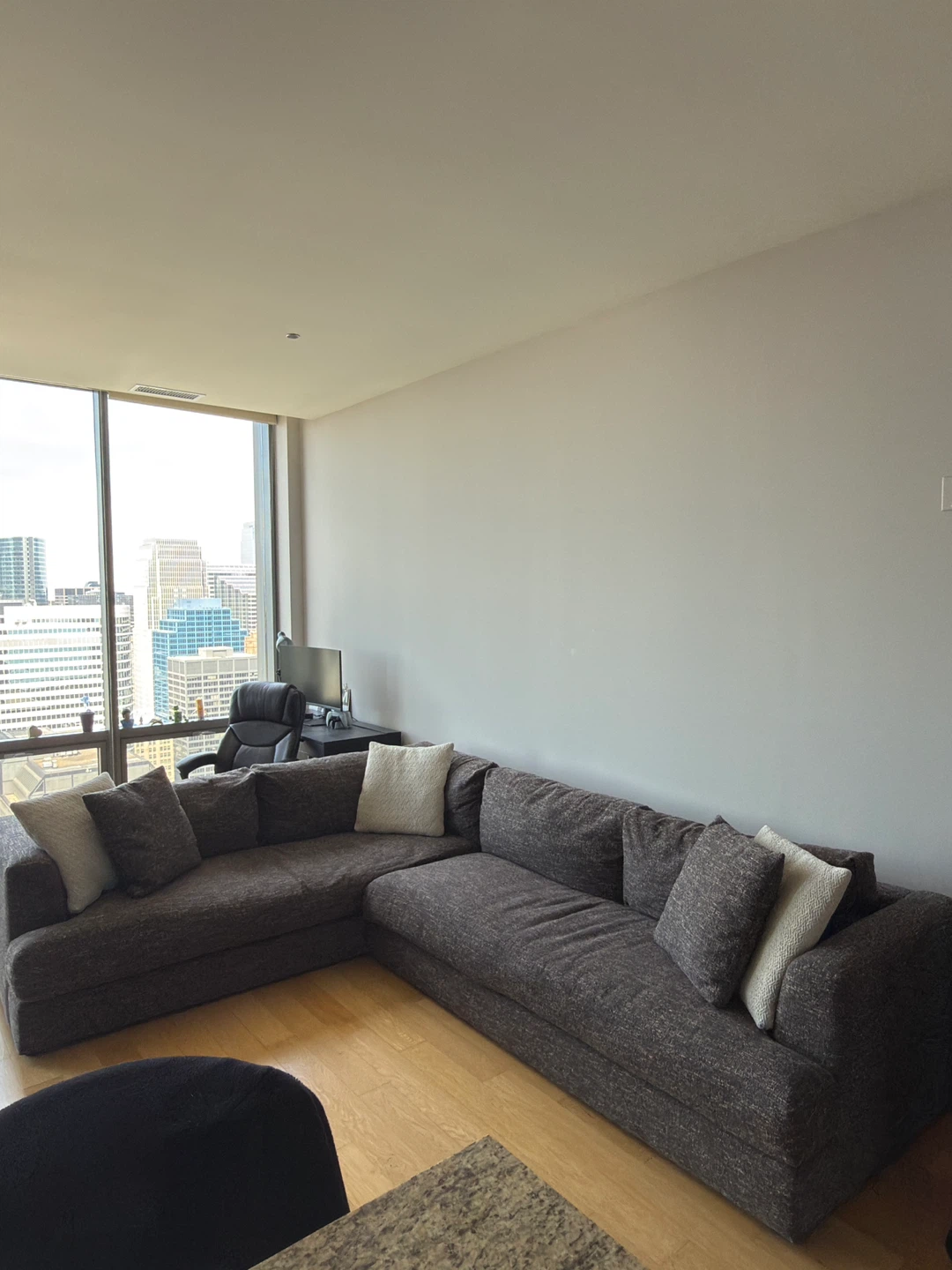 Dark Gray Sectional Sofa with Pillows - photo 4