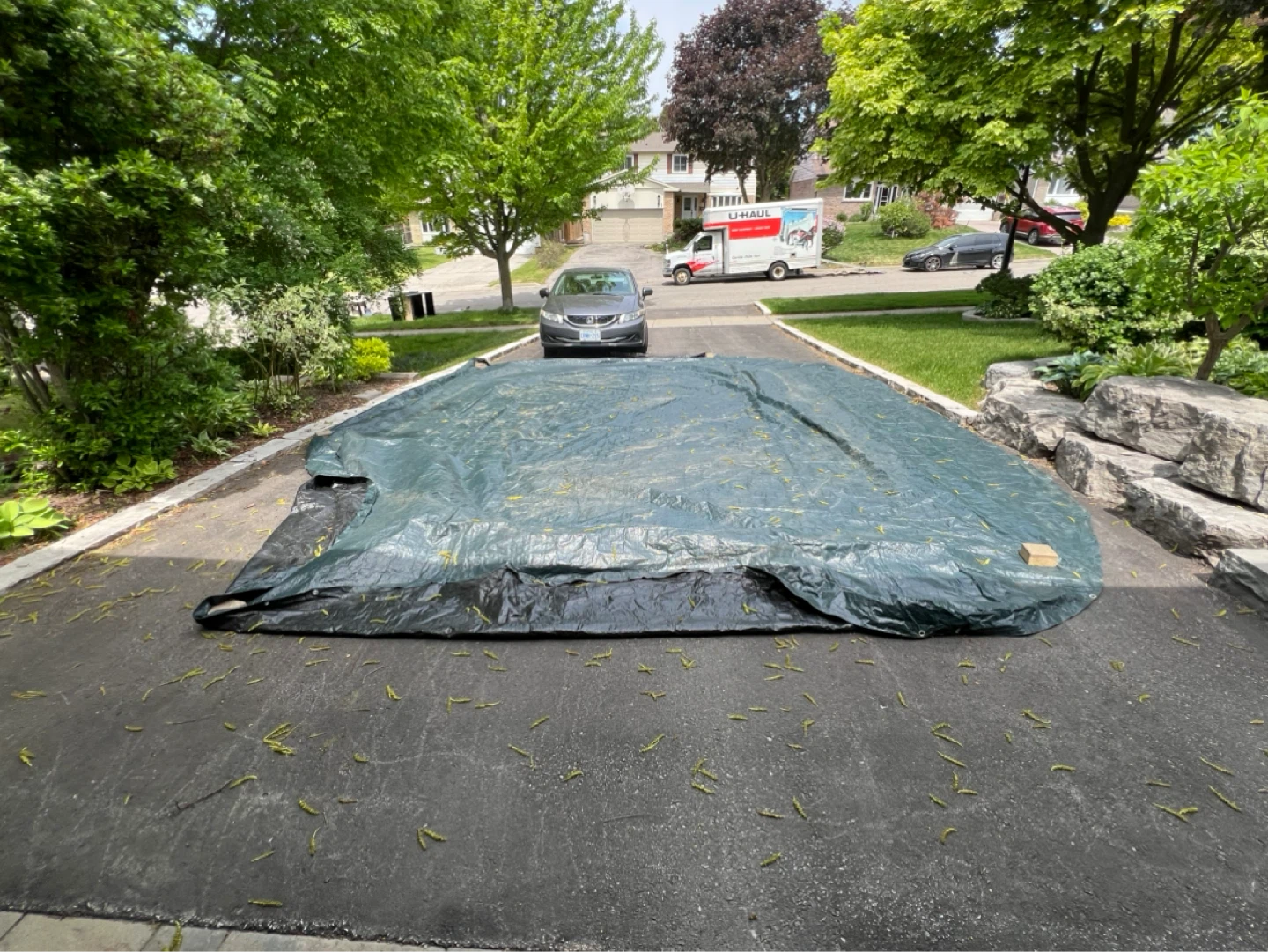 Large dark green Tarp - photo 2