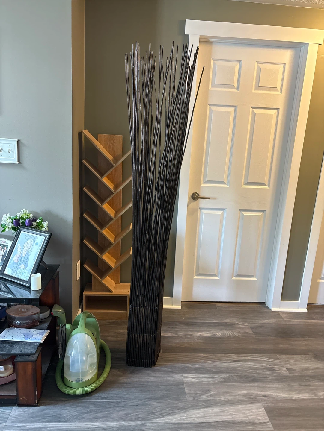 Tall Decorative Reed