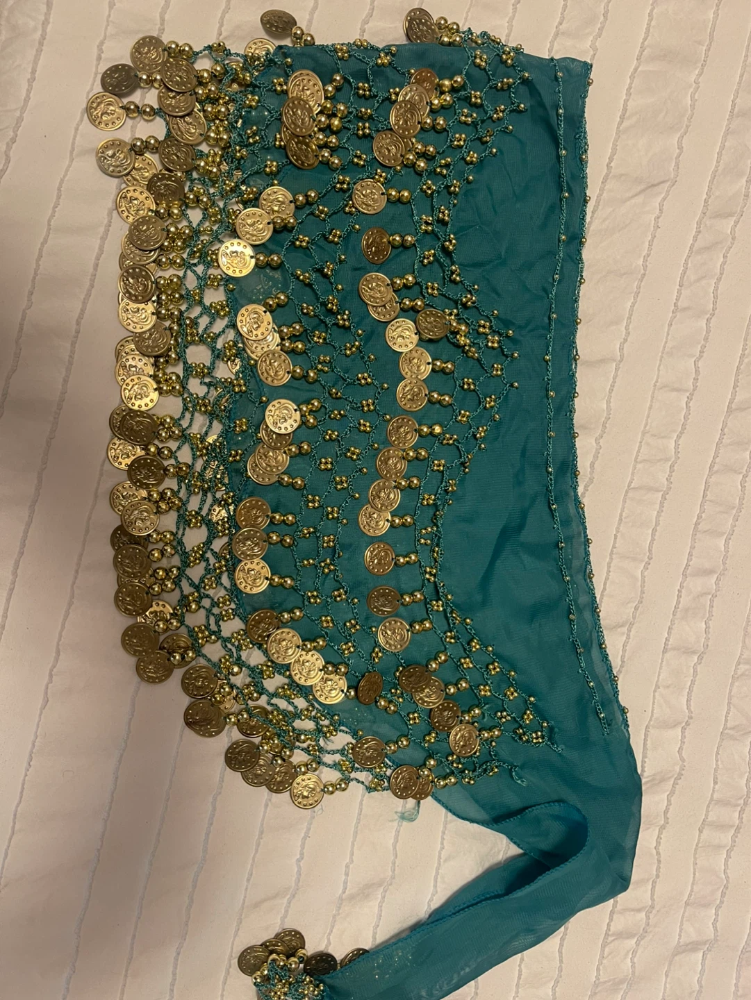 Belly Dance Skirts & Outfits - photo 3