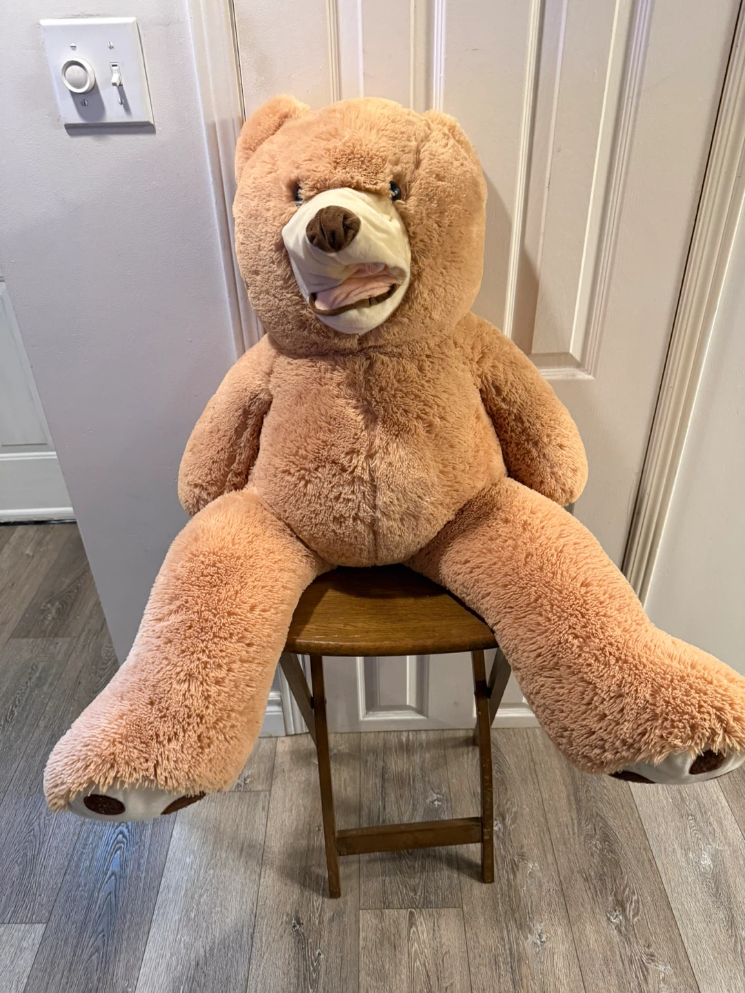 Large Plush Teddy Bear