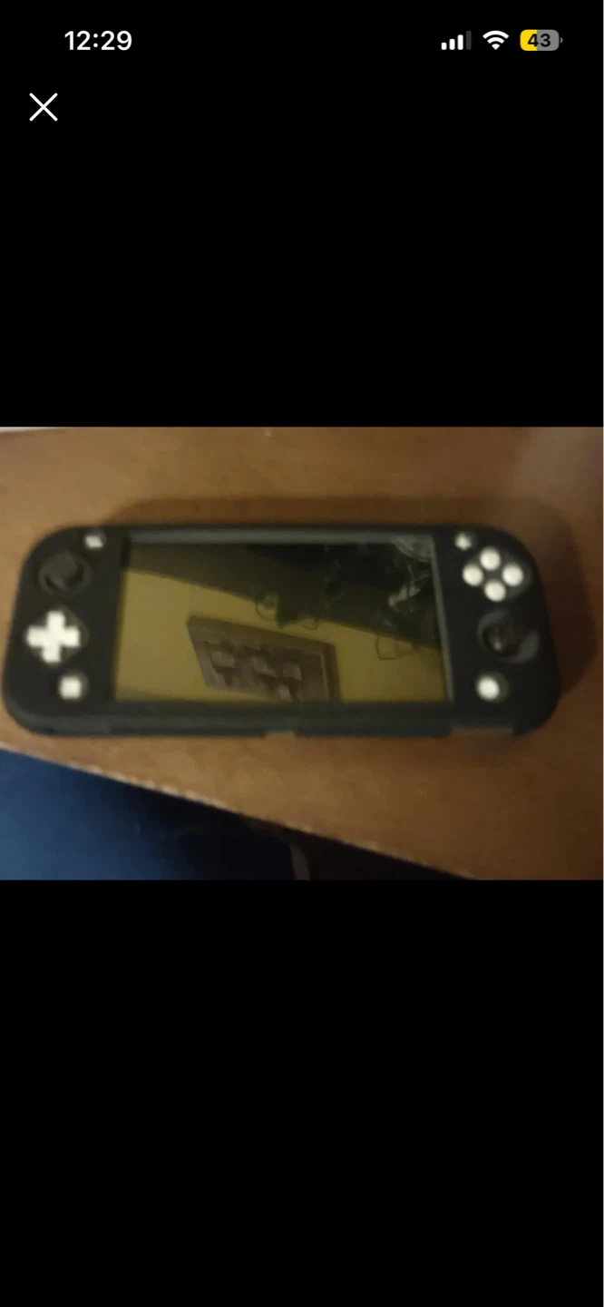 Nintendo Switch Lite