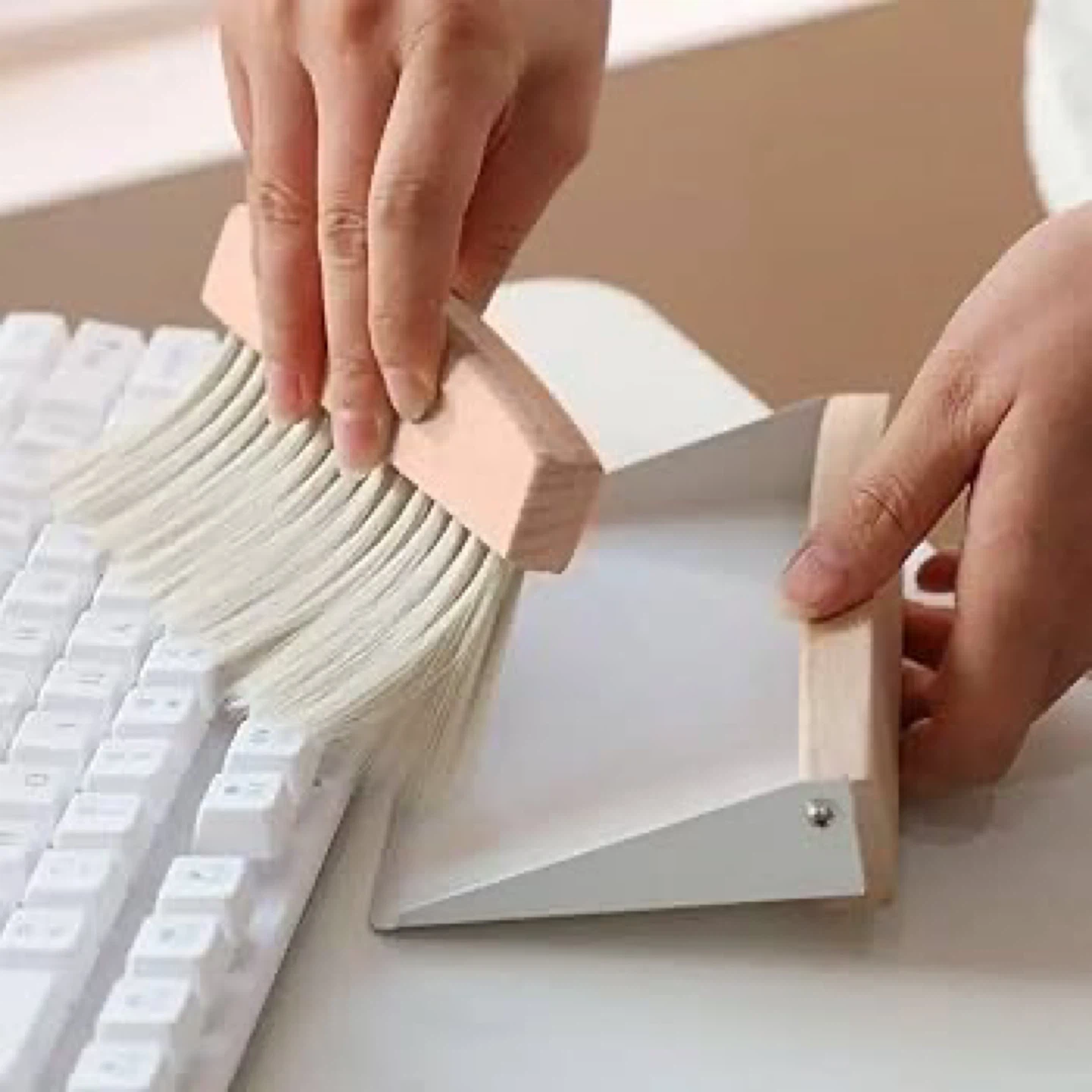 Mini Dustpan and Brush Set