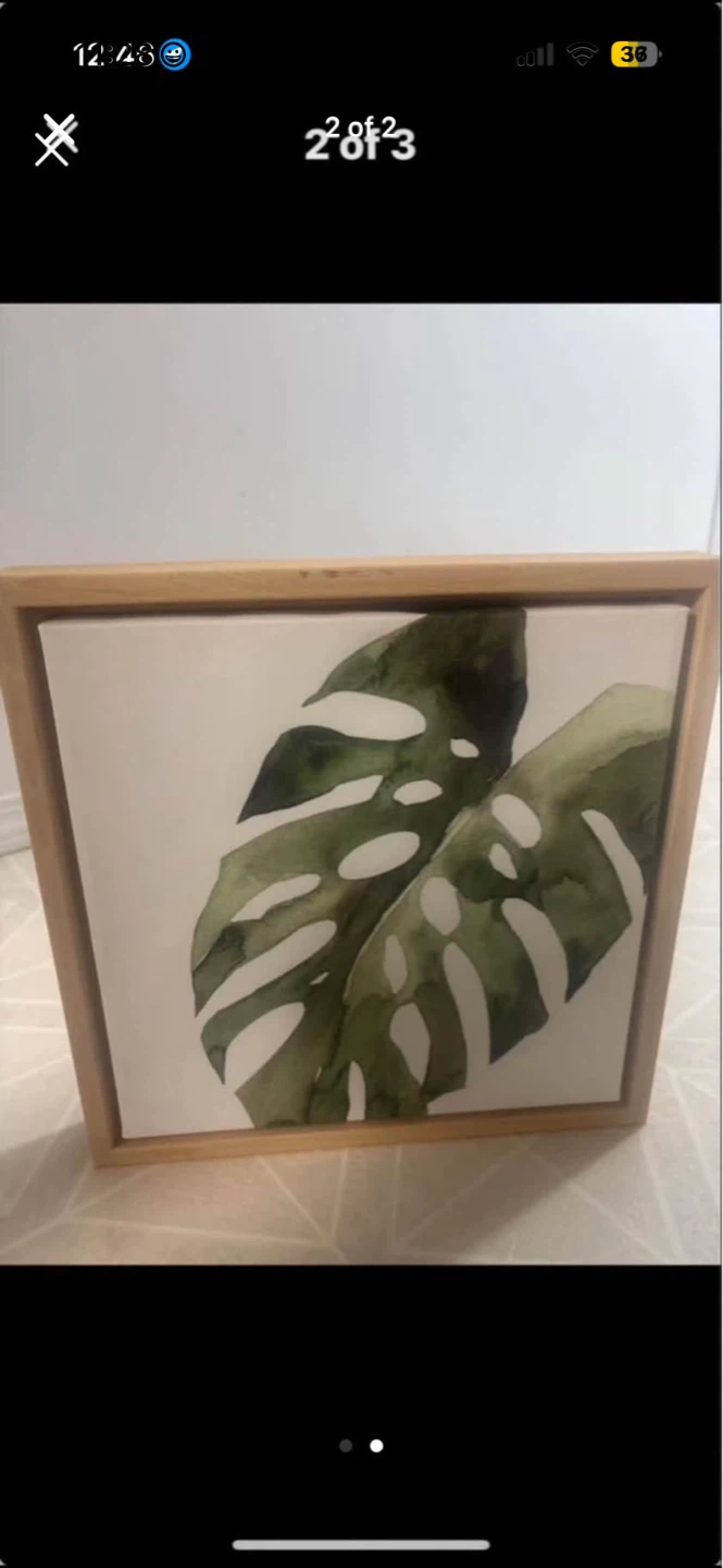 DesignOvation Sylvania Monstera Tropical Framed Canvas Art - photo 2